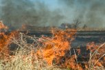 Почти 900 человек будут бороться с природными пожарами в этом году
