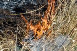 В Приамурье произошло 19 возгораний сухой травы