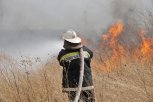 Девять природных пожаров произошли в Амурской области за сутки