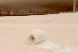 На Бурейской ГЭС наблюдают редкое природное явление: рулетики из снега (видео)