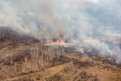 Амурские огнеборцы за сутки потушили четыре природных пожара