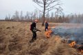 Пять природных пожаров действует в Амурской области
