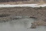 Жители Зеи возмутились из-за слива канализационных стоков в реку