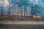 В Архаринском округе тушат крупный лесной пожар