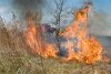В трех километрах от поселка Читкан в Сковородинском округе тушат пожар