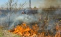Более 500 человек тушат лесные пожары на территории Приамурья