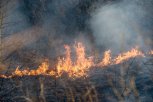 Бушующие в Зейском и Магдагачинском округах пожары закольцовывают с помощью тяжелой техники