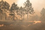 Более 150 человек тушат природные пожары в Зейском и Магдагачинском округах