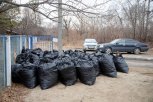 16 тысяч участников и 500 тонн мусора: в Благовещенске подвели итоги акции «Город берегу»