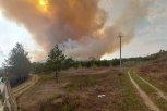 Восемь природных пожаров в Приамурье тушат 450 человек