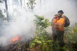 В Магдагачинском округ тушат три крупных природных пожара