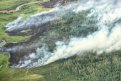 Больше 60 человек борются с огнем в 39 километрах от поселка на севере Зейского округа