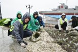 Где найти работу подростку летом: какие подводные камни ждут тех, кто выбирает нелегальные варианты