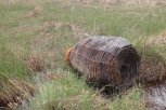 Амурские охотоведы начали летнюю генеральную уборку водоемов