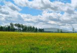 В воскресенье Амурская область отдохнёт от дождей