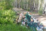 Аллею погибших на СВО жителей Тынды захламили мусором