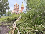 С улиц Белогорска вывезено 574 кубометров бурелома и спила упавших во время урагана деревьев