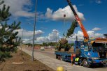 6200 деревьев и кустарников:привокзальную площадь в аэропорту Благовещенска озеленят до конца месяца