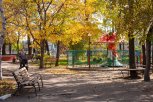 Амурские синоптики пообещали в пятницу идеальный день для осенней прогулки