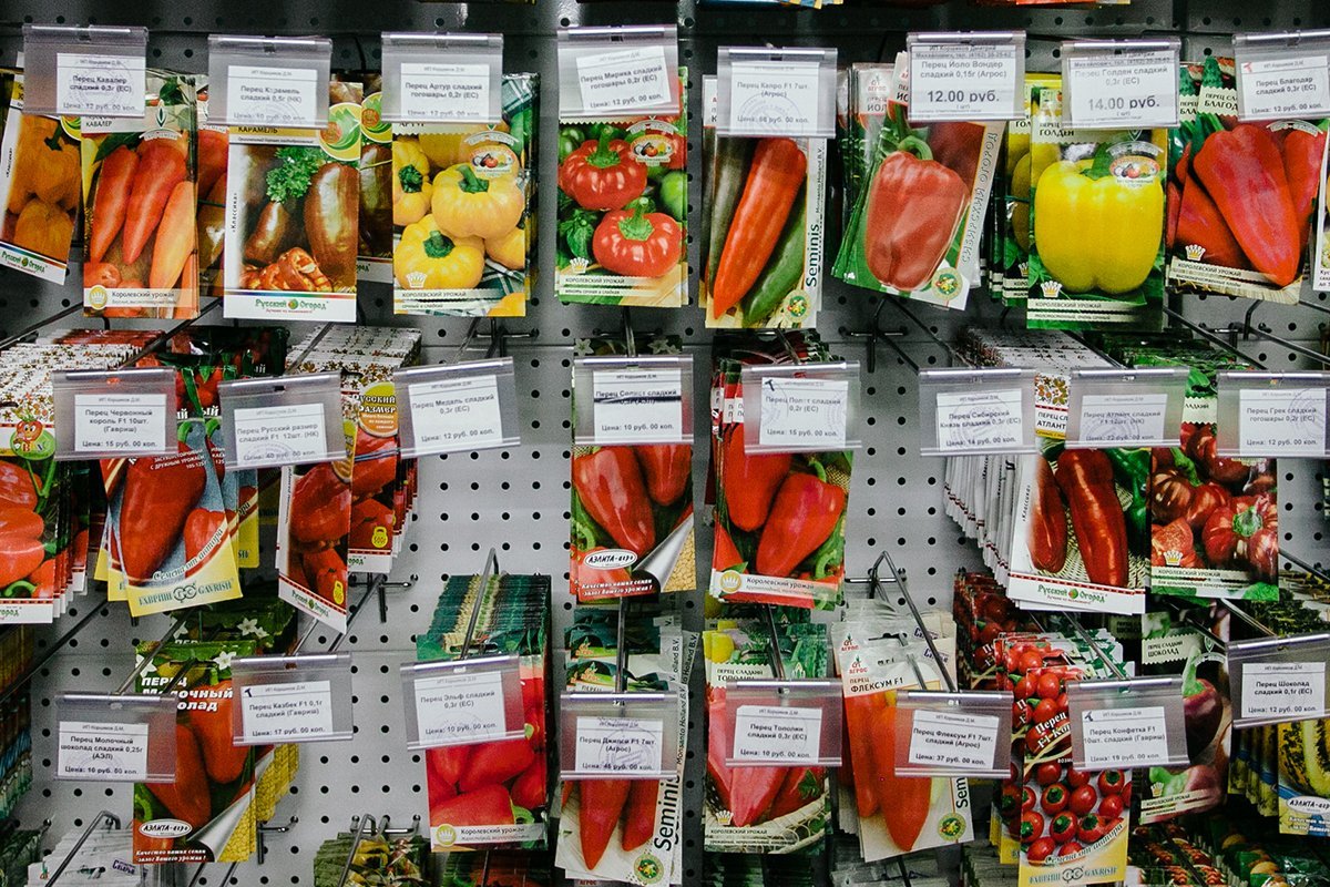 Где Купить Хорошие Семена Овощей Отзывы