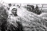 Комсомольцы спасают урожай, а в Благовещенске поют шансон — о чем писала АП 4 сентября