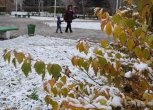 На севере Приамурья в выходные выпадет снег