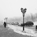 @irinasherbin: Суровые будни: #зима #Благовещенск #минус20