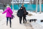 На отлов и содержание бездомных животных Белогорску требуется больше 7 миллионов