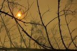 Из-за жаркой сухой погоды на севере Приамурья горят леса