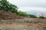 Бизнесмены практически уничтожили памятник природы в Райчихинске