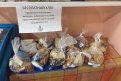 Организаторы акции «Добрый хлеб» выложили в магазинах Благовещенска бесплатные подарки
