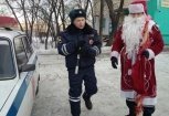 В Райчихинске полицейский в костюме Деда Мороза раздавал водителям мандарины