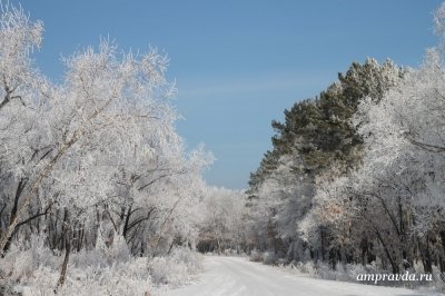 В Приамурье ожидается усиление ветра: прогноз погоды на понедельник
