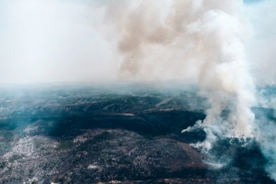 Большой денежный штраф и уголовное дело: амурчане о наказании для поджигателей лесов