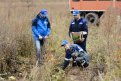 Сила Сибири возрождает леса: газовики посадили под Свободным три тысячи сосен