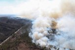 В ожидании огня: в амурских лесах запретили контролируемые отжиги