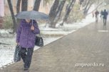В Приамурье слабый снег и ветер: прогноз погоды на 25 марта