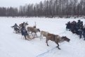 Победителю заезда на оленьих упряжках в Усть-Уркиме подарили холодильник