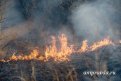 Первые лесные пожары зафиксированы в Приамурье