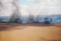 В один день в Приамурье 15 раз горела сухая трава