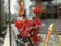 Огонь охватил обшивку магазина в Белогорске