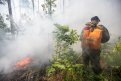 Семь лесных пожаров в Амурской области тушат три сотни огнеборцев