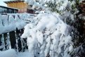 В Приамурье мокрый снег и дождь: прогноз погоды на 17 сентября