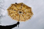 Рабочая неделя в Приамурье начнется с дождя и ветра