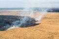 Пять лесных пожаров потушили в Сковородинском и Шимановском районах в октябре