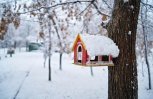 Снегопадов не ожидается: прогноз погоды в Приамурье