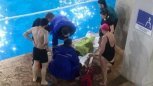 Пострадавший в благовещенском аквапарке мальчик пришел в сознание