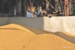 Россельхознадзор проверяет амурский соевый шрот перед отправкой в Южную Корею