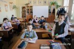 Амурские школьники напишут всероссийские проверочные работы осенью