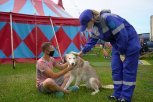 Цирку на воде в Белогорске помогают городские активисты